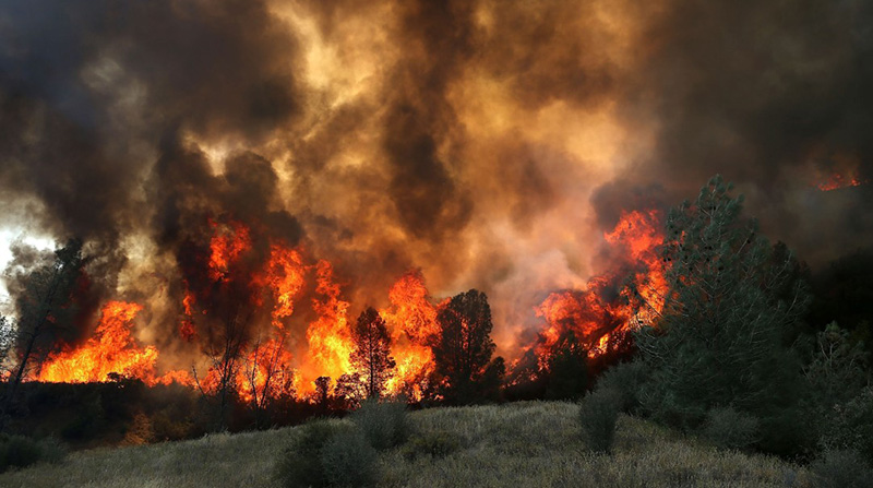 Wildfire Lawsuits
